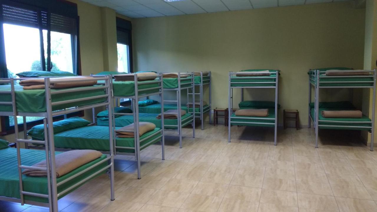 Bunk Bed Mixed Dormitory Room