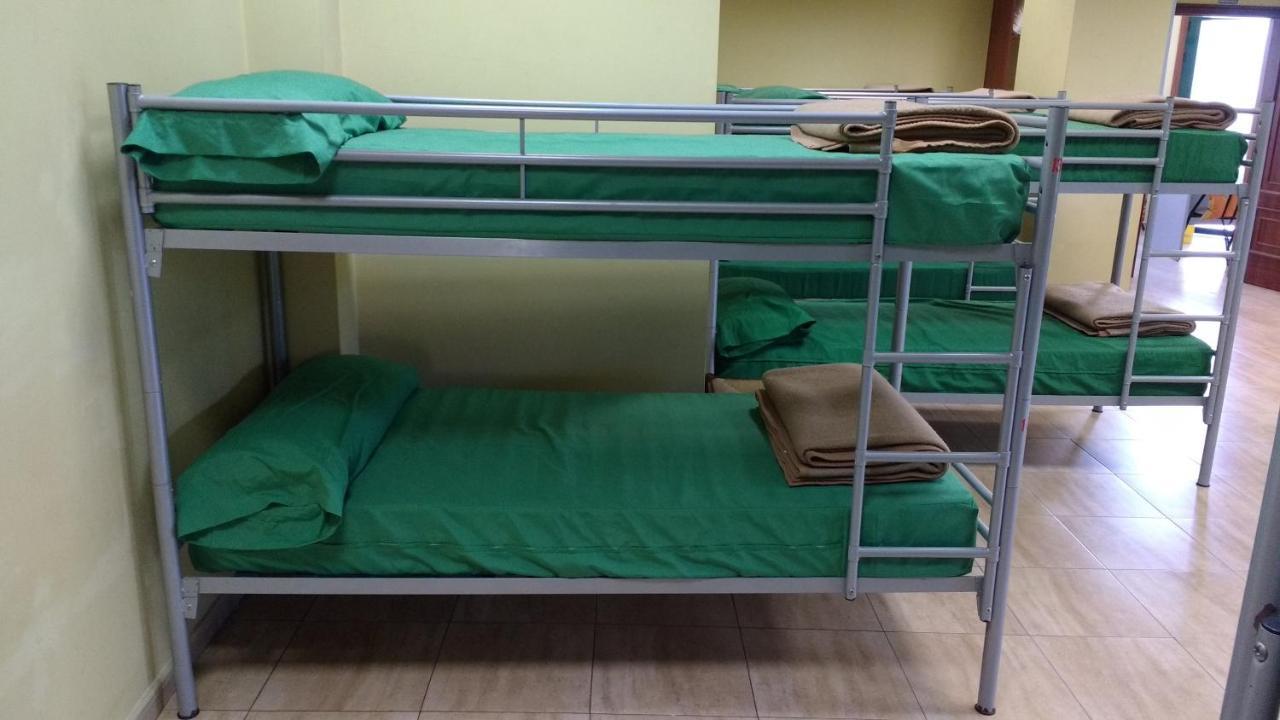 Bunk Bed Mixed Dormitory Room